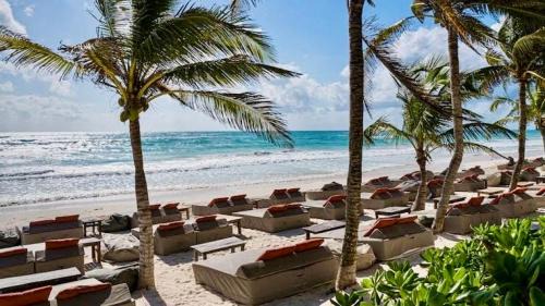 Playa Paraiso Apartamento | Jungle Guardian - Rooftop Pool & Beach Club in Zona Hotelera Tulum