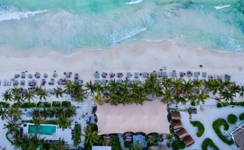 Playa Paraiso Apartamento | Jungle Guardian - Rooftop Pool & Beach Club in Zona Hotelera Tulum