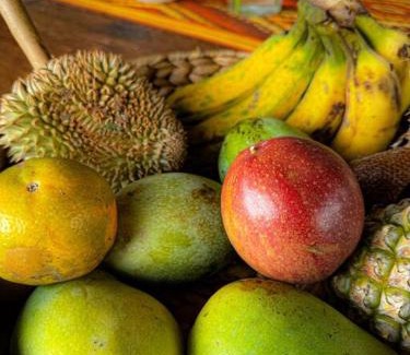 East Selemadeg Chalet De Esquí | Jungle Haven Bali - JHB