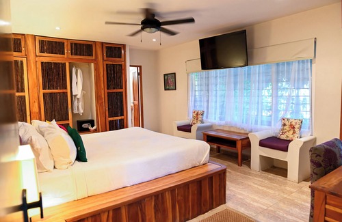 Cerro Azul Cama Y Desayuno | Jungle Mansion - 9 Bedrooms with pool, bar, game room & more