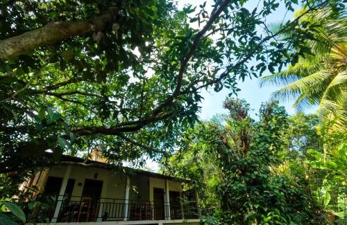 Udawalawa Casa | Jungle Resort Home Stay