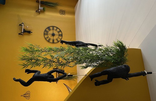 Romans-sur-Isere Apartamento | JuNgLe ROOM
