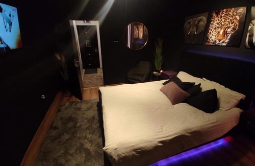 Braila Apartamento | Jungle Studio BRAILA