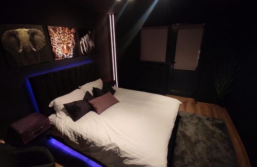 Braila Apartamento | Jungle Studio BRAILA