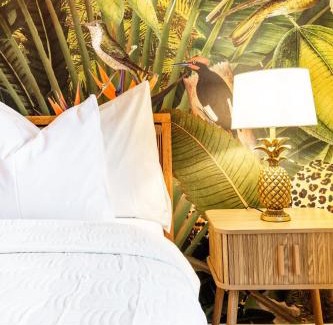 District 6 Apartamento | Jungle Suite