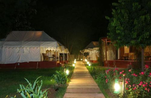 Sawai Madhopur Complejo | Jungle View Resort Ranthambhore
