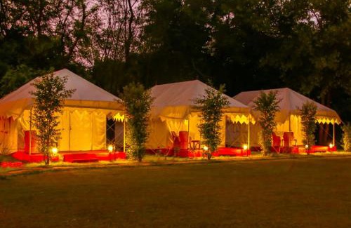 Sawai Madhopur Complejo | Jungle View Resort Ranthambhore