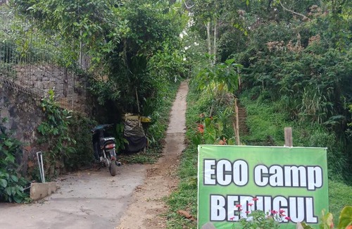Candikuning Otro | jungleadventure cabin camping