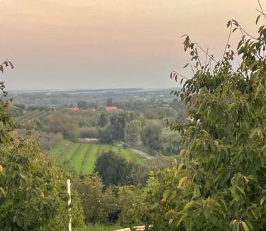 Sandomierz Otro | Jurta Rokitek61