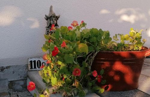 Reinhardtsdorf-Schoena Casa | Käthes Sommerhaus