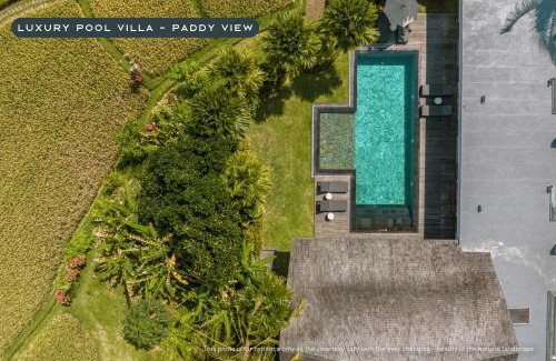 Tegallalang Complejo | K Club Ubud