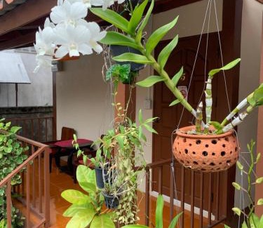 Chiang Khan Casa | K Khan Garden at Chiang Khan Walking Street