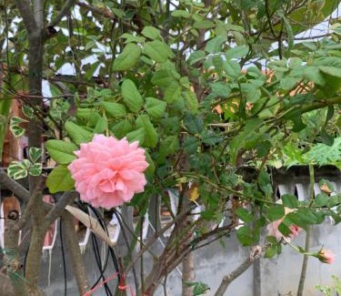 Chiang Khan Casa | K Khan Garden at Chiang Khan Walking Street