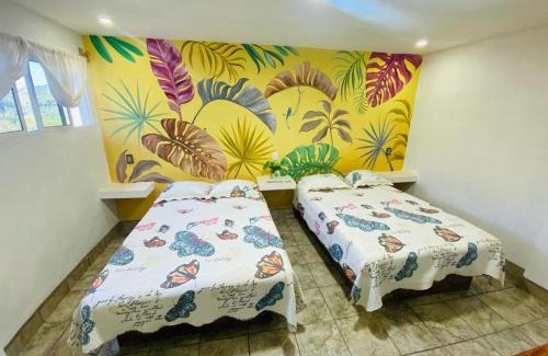 Xilitla Apartamento | K&M HOTEL