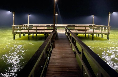 Sailhouse Condominio | K's Coast Condo | Pet Friendly, Pool + Pier Access
