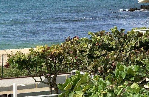 South Region Apartamento | K1 - Apto Condôminio Frente mar Perfeito Para Famílias com Crianças