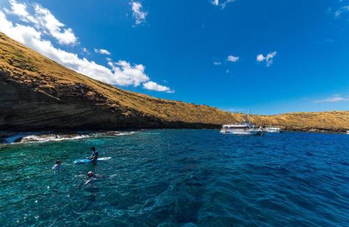 Honokowai Apartamento | Kaanapali Shores 361