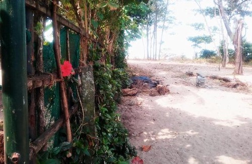 Alappuzha Hotel | Kadalamma Beach Homestay