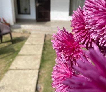 Shyamkhet Casa | KAFAL TREE Home Stay - PET FRIENDLY