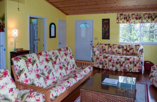 Mountain View Casa | Kahu 'lo - Guardian Hawk