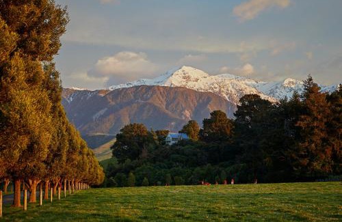 Hapuku Casa | Kaikoura, Cubby House Stay