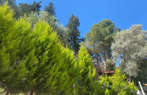 Fethiye Apartamento | Kaktus Suites 2