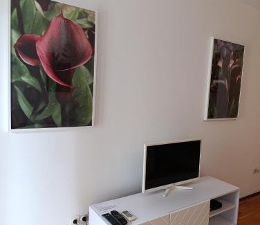 Vracar Apartamento | Kala