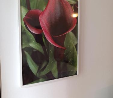Vracar Apartamento | Kala