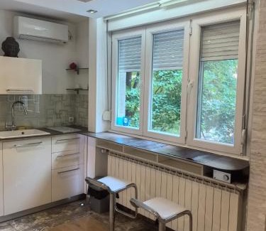 Dorcol Apartamento | Kalemegdan park & Zoo - City center