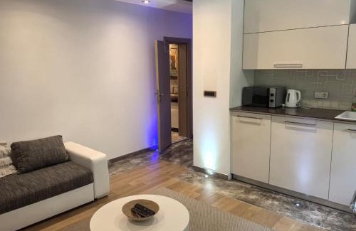 Dorcol Apartamento | Kalemegdan park & Zoo - City center