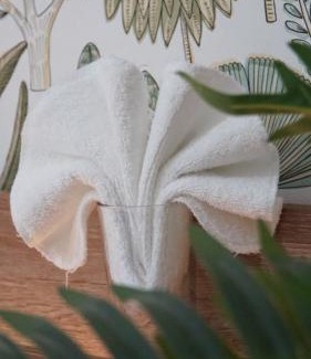 Santa Ana Hotel | Kali Hotel
