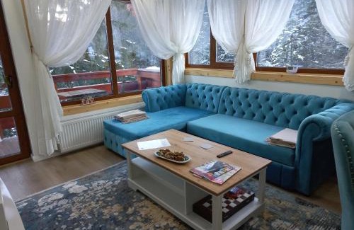 Busteni Apartamento | Kalinderu luxury ski loft