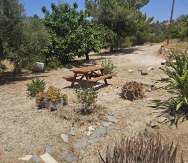Ayia Marina Chrysochous Villa | Kallithea Villa