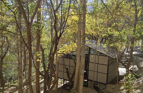 Hunza Chalet De Esquí | Kalp With Forest View- Cloud Nine and a Half Hunza