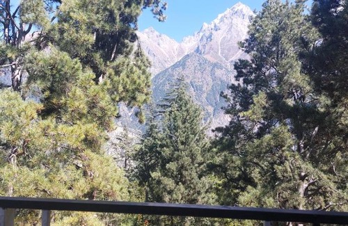 Kalpa Casa | KALPA JUNGLE RETREAT