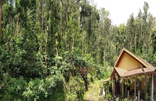 Samse Casa | Kambada Mane Homestay by StayApart
