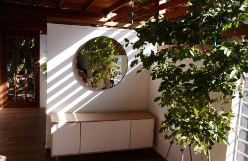 Palomino Casa | KameHousePalomino