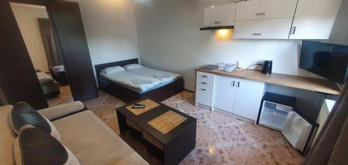 Debina Casa | Kamień Bałtyku