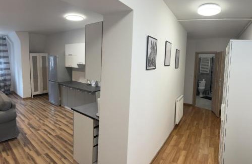 Chorzow Apartamento | Kamienica5
