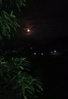 Kandy Complejo | Kandy IVY Mountain View Resort
