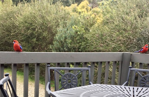 Halls Gap Casa | Kanguarra Holiday House