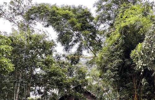 Puerto Maldonado Hotel | Kapievi Ecovillage