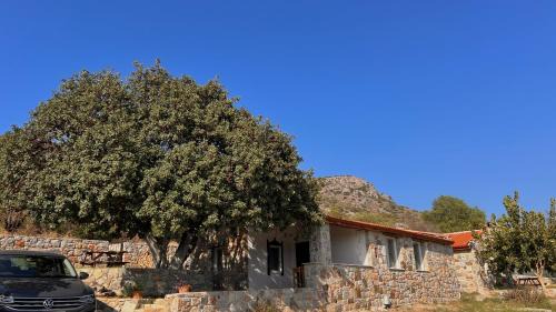 Datca Casa | Karaincirevleri Müstakil Taş Ev