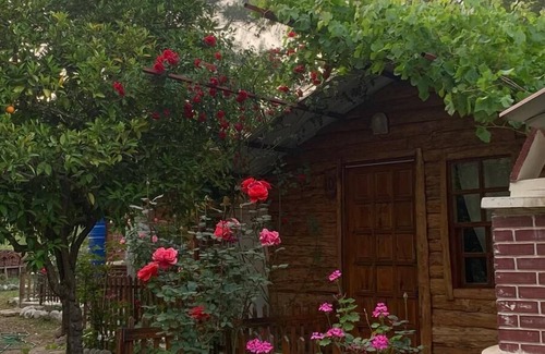Olympos Casa | Karakalem Pansiyon