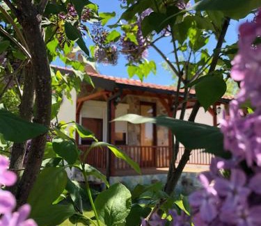 Elshani Apartamento | Karali Apartments