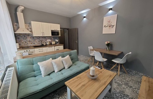 Karlovy Vary Condominio | Karlovy Cute Inn: 1BR apartment