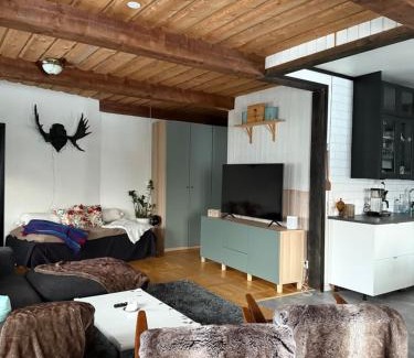 Bjornange Apartamento | Karolinen Stugor & Lägenheter