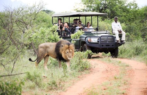 Maruleng Otro | Karongwe - Chisomo Safari Camp
