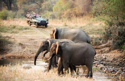 Hoedspruit Cabina | Karongwe - River Safari Lodge