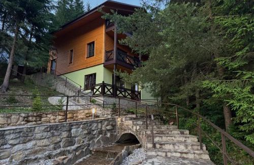 Tatariv Villa | Karpasole